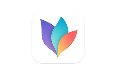 MindNode Next v2025.5.2 中文激活版 Mac思维导图软件