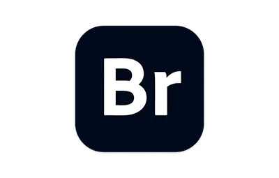 Adobe Bridge 2025 v15.1.1 中/英文版 Br 2025正式版 Mac软件本下载 Intel/M通用