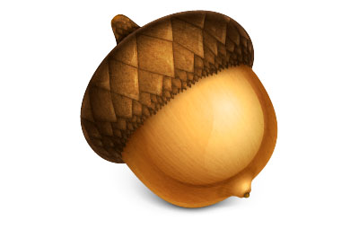 Acorn v8.2.2 激活版 Mac轻量级图片处理软件