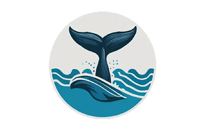 WhaleDown for Mac(在线视频与音频下载工具)v2025.11.4激活版下载